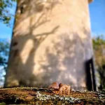 بيت للعطل Le Moulin De *