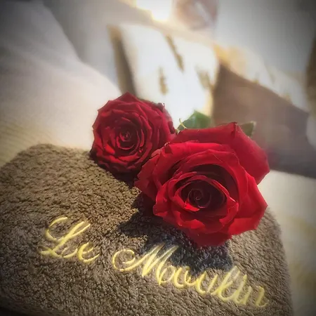 Prázdninový dům Le Moulin De Brugnac