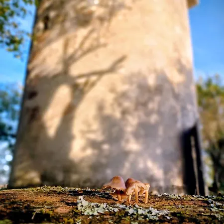 Prázdninový dům Le Moulin De *