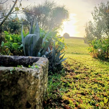 Le Moulin De Prázdninový dům Brugnac