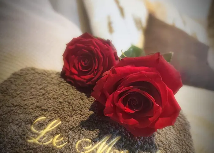 Casa vacanze Le Moulin De Brugnac