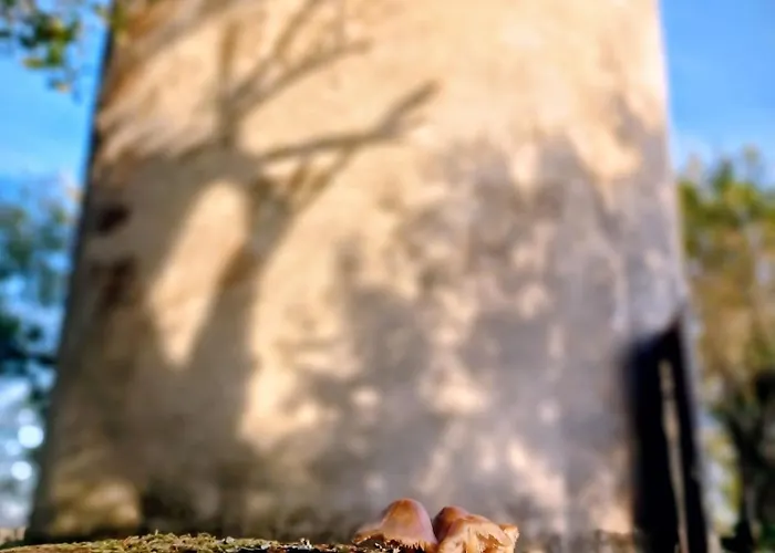 Casa vacanze Le Moulin De *