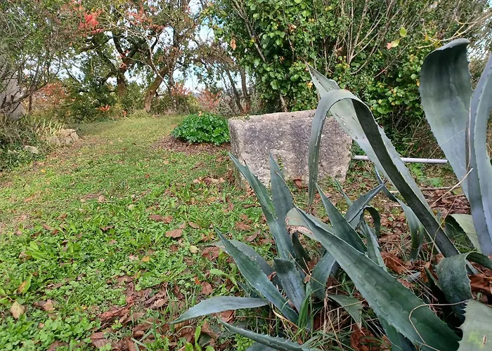 Le Moulin De Holiday home Brugnac